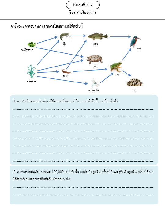 ใบงานที่ 1.3
เรื่อง สายใยอาหาร
