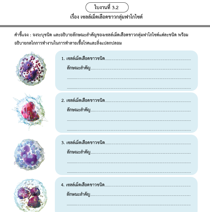 ใบงานที่ 3.2
เรื่อง เซลล์เม็ดเลือดขาวกลุ่มฟาโกไซต์
