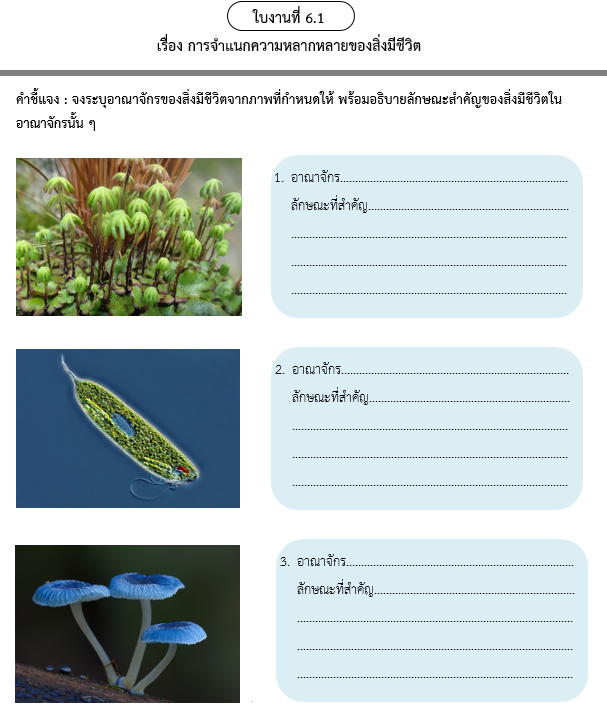 ใบงานที่ 6.1
เรื่อง การจำแนกความหลากหลายของสิ่งมีชีวิต
