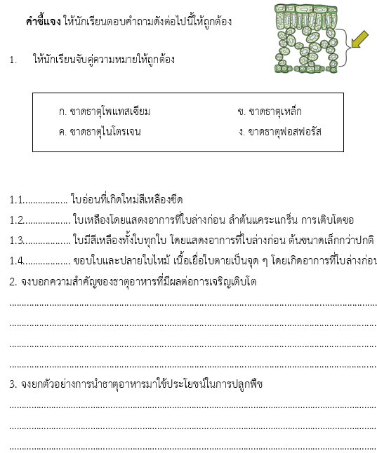 การลำเลียงของพืช