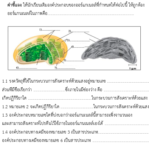 การสังเคราะห์ด้วยแสง